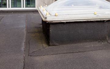 disadvantages of Old Graitney flat roofs